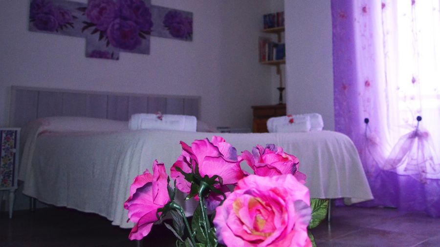 Vinaora Nivo Slider 3.x